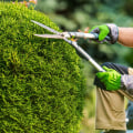 The Best Time of Year to Schedule Seasonal Landscaping Services