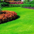 The Importance of Seasonal Landscaping Services for Maintaining a Beautiful Lawn