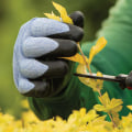 The Essential Qualifications and Certifications for Hiring a Seasonal Landscaping Company