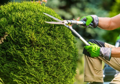 The Best Time of Year to Schedule Seasonal Landscaping Services