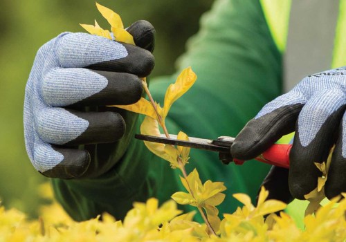 The Essential Qualifications and Certifications for Hiring a Seasonal Landscaping Company